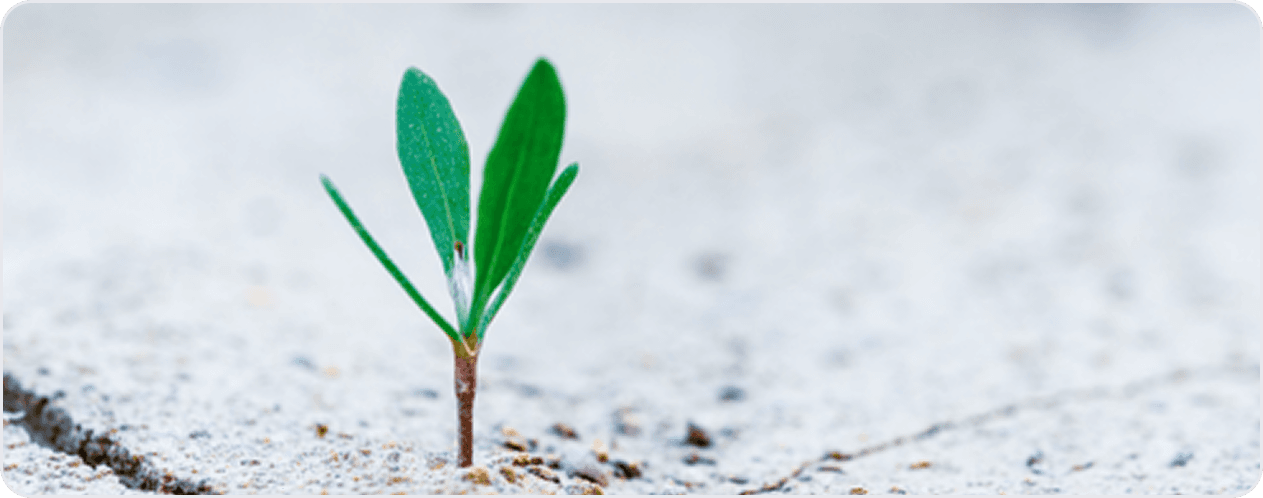 📊 ระบบหลังบ้านใช้งานง่าย